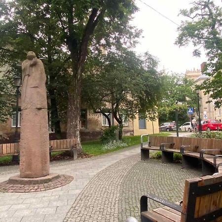 Вірменська 14 Центр З Балконом Не Далеко Від Ж Д Вокзалу Звітні Документи Leilighet Lviv Eksteriør bilde